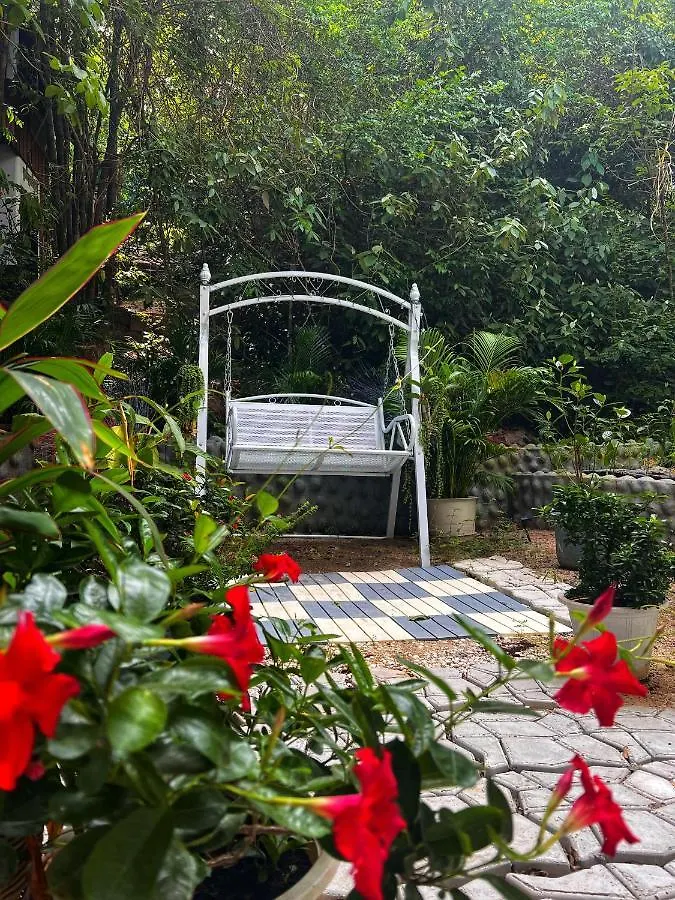 Wonderland Jungle Hostel Koh Tao